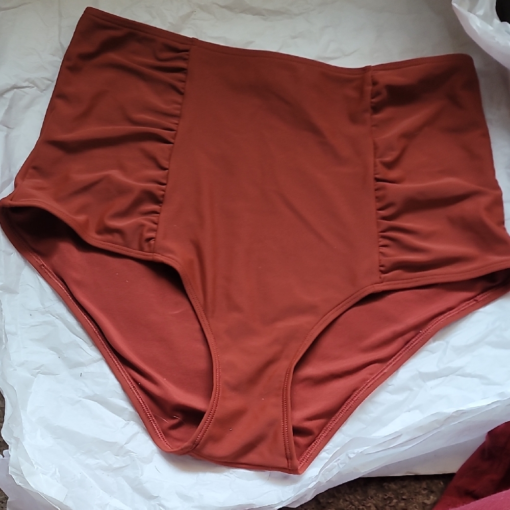 High-Waisted Rust Swim Bottoms aerie